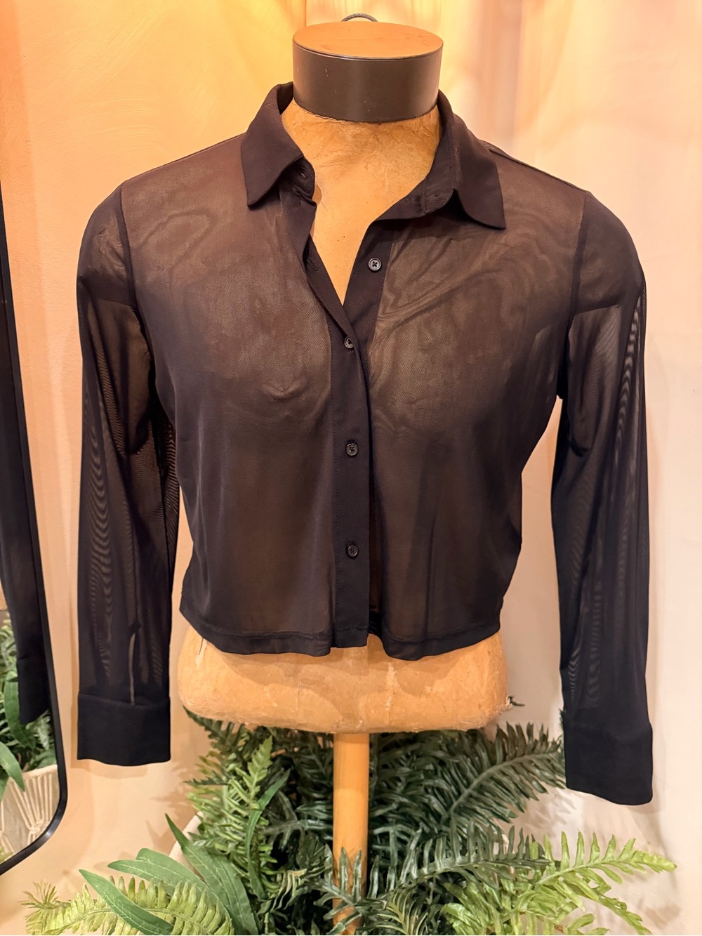 Sheer Black Button-Front Crop Shirt - Women Tops